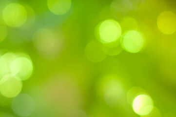 Obraz premium Vibrant bokeh background with a blend of green shades and soft light effects in nature