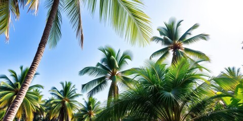 Obraz premium Bright and vibrant tropical palm leaves against a clear blue sky, green, palm trees, wilderness