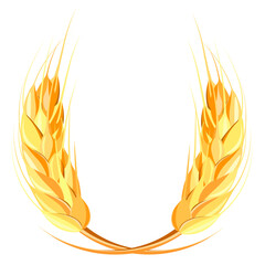 two ears of wheat without background vector image