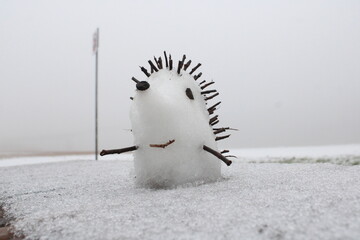Happy and funny hedgehog snowman in fog