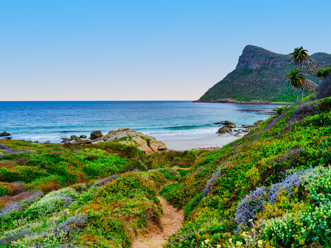 Hiking trail descending to Smitswinkel Bay with turquoise ocean and Judas Peak in the background, Cape Peninsula, South Africa