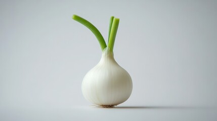 A fresh white onion with green shoots against a clean background, perfect for cooking