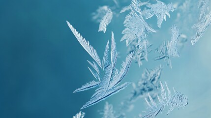 A close-up of a frosted windowpane with intricate ice crystal patterns, reflecting soft winter light, on a cool blue background 