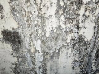 old texture concrete wall 