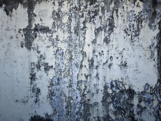 Obraz premium old texture of wall