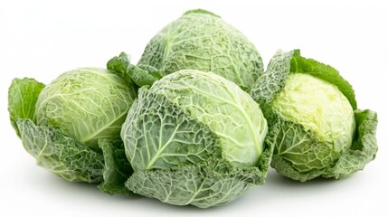 Fototapeta premium Savoy cabbage displays its crinkled leaves and vibrant color against a clean white backdrop