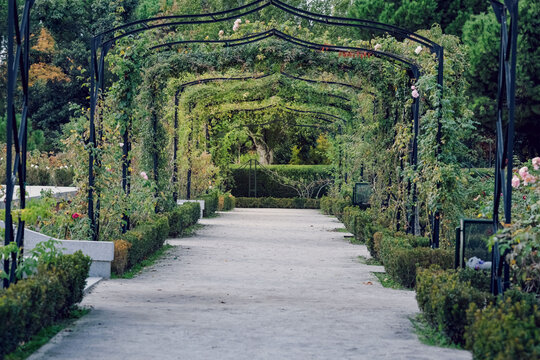 La Rosaleda en Madrid, arco de flores