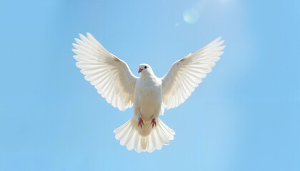Obraz premium A graceful white dove of peace in flight against a clear blue sky, representing peace and freedom