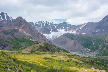 Colorful scenery of wide green alpine valley with view to large snow-capped range, sharp rocky pointy peak, snowy mountain range and big glacier tongue far away under cloudy sky in changeable weather.