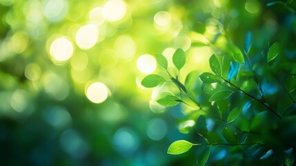 Fototapeta premium Abstract Nature Background