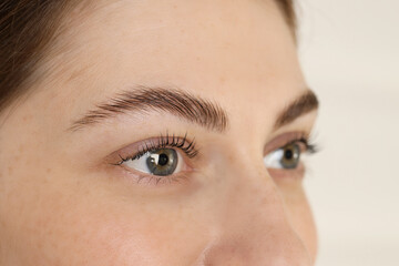 Naklejka premium Beautiful woman after lash laminating and tinting procedure on light background, closeup