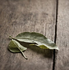 dried bay leaf