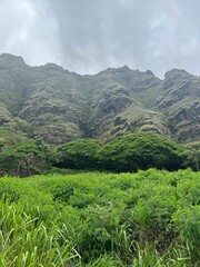 Obraz premium Lush green landscape with towering mountains.