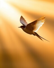 Graceful swallow flying upward against a golden sunset nature conceptual art airborne beauty inspirational moment