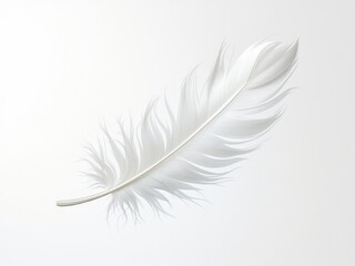 Fototapeta premium Delicate White Feather Gently Resting Against Soft Background