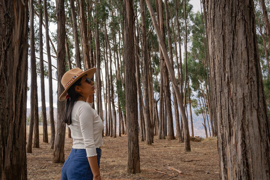 young female tourist enjoying the eucalyptus forest in qenqo cusco