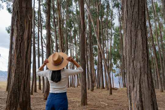 young female tourist enjoying the eucalyptus forest in qenqo cusco