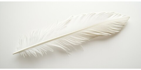 Obraz premium Close-up of a single white feather on a plain background, highlighting its intricate details and soft texture.