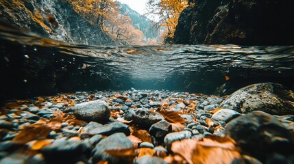 Obraz premium A Tranquil View of a Clear Mountain Stream with Rocks Beneath the Water Surface Surrounded by Autumn Colors and Lush Wilderness