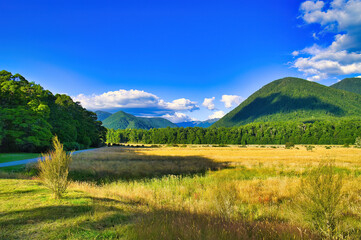 Fototapeta premium The picturesque at Marble Hill Campground in Lewis Pass Scenic Reserve, West Coast region, South Island, New Zealand. Grassy plain and forested hills 