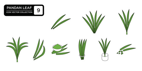 Pandan leaf icon collection, editable and resizable vector icon templates.