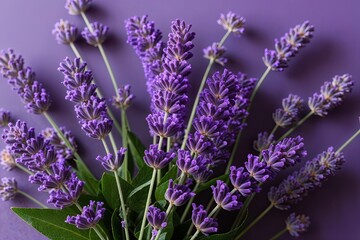 Obraz premium Calming Lavender Sprigs in a Serene Purple Arrangement