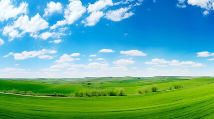 Fototapeta premium Beautiful Summer Countryside Landscape with Green Grass and Blue Sky
