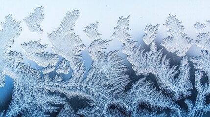 Close-up of frost on a window on a cold morning with intricate patterns.