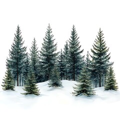 Fototapeta premium Watercolor Painting of a Snowy Winter Forest with Tall Pine Trees.