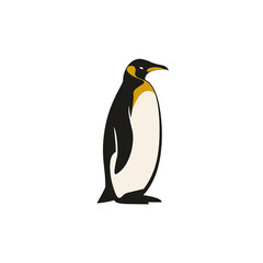 Fototapeta premium King penguin standing proudly on the ice