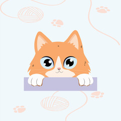 Fototapeta premium cat and mouse