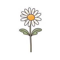 Fototapeta premium Bright daisy with yellow center and green leaves
