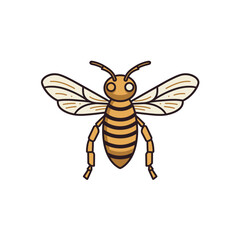 Obraz premium Detailed vector illustration of a honeybee with distinct stripes