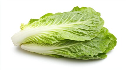 Fresh romaine lettuce with crisp leaves, ideal for salads and healthy dishes.