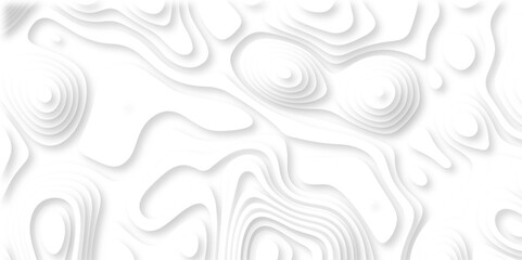 Fototapeta premium paper cut 3d render topography abstract, beautiful white Background. geometric map relief texture with curved layers and shadow. Realistic papercut decoration textured with wavy vector design.