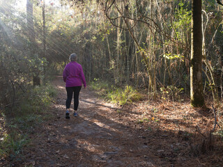 Obraz premium Active Senior Woman Walking along a Wooded Trail with Sunbeams Streaming into the Scene