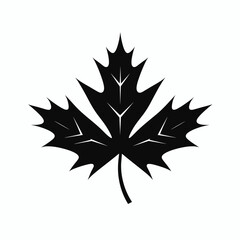Obraz premium Black silhouette of a maple leaf with distinct serrated edges and veins stands out