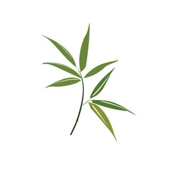 Fototapeta premium Branch showcasing green bamboo leaves in a minimalist design