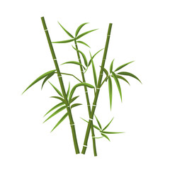Obraz premium Green bamboo stalks with leaves displaying a natural array in a simple layout