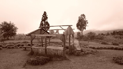 Obraz premium CABANE RUINE PATRIMOINE LES MAKES ILE DE LA REUNION