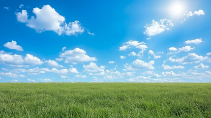 Obraz premium field of grass and perfect sky 