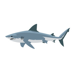 Fototapeta premium Shark swimming smoothly through the ocean waters, showcasing its streamlined body