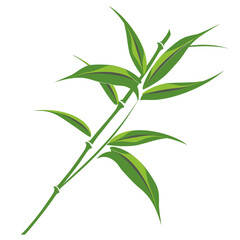 Fototapeta premium Green bamboo plant with multiple leaves and joints in a vibrant illustration style