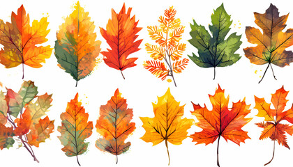 Obraz premium Collection Set of autumn leaves background on digital art concept, Generative AI.