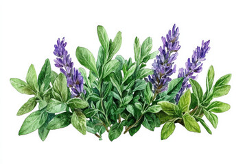 Watercolor painting of lavender and green leaves, vibrant and botanical