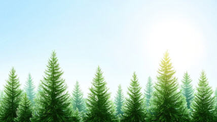 Obraz premium Lush green forest landscape with bright sky and sunlight shining