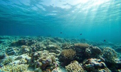 Fototapeta premium A vibrant coral reef landscape, teeming with colorful marine life, vivid corals in shades of orange, pink, and purple, schools of tropical fish swimming gracefully, sunlight streaming through clear tu