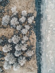 Fototapeta premium Aerial View of Snow-Covered Trees Alongside a Frosty Land and Water Landscape in Winter, Capturing the Beauty of Nature's Climate Change