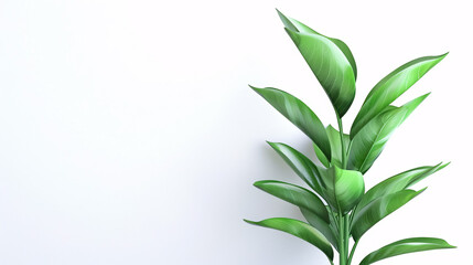 Obraz premium A detailed 3D digital rendering of a plant set against a clean white background, emphasizing its botanical intricacies.