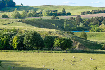 Fototapeta premium Rural landscape at Wallingford